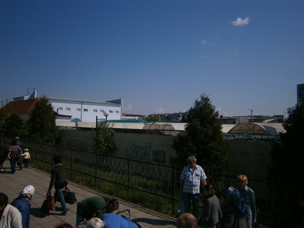 View from train