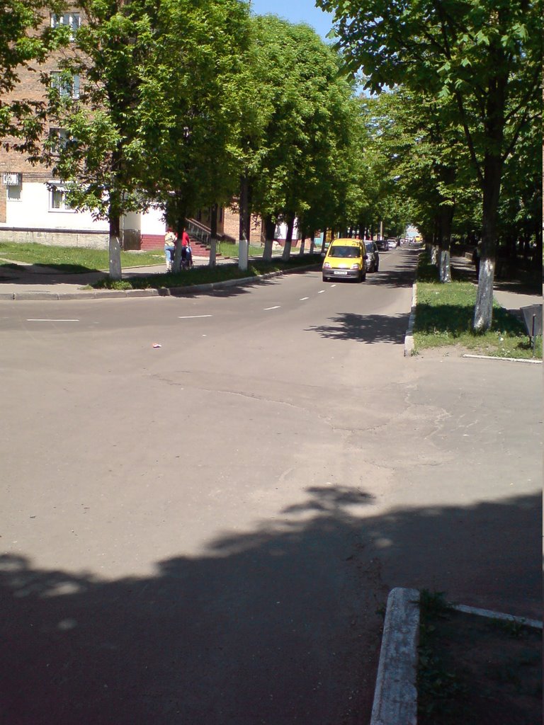 біля парку