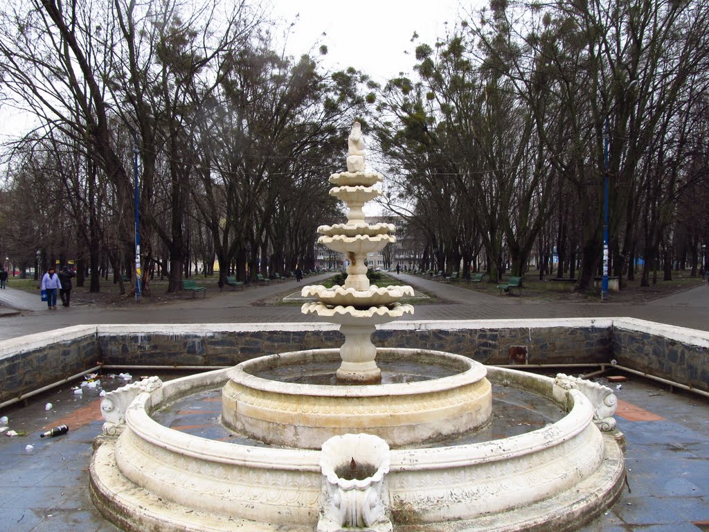 фонтан у центрі парку, в центрі міста ..