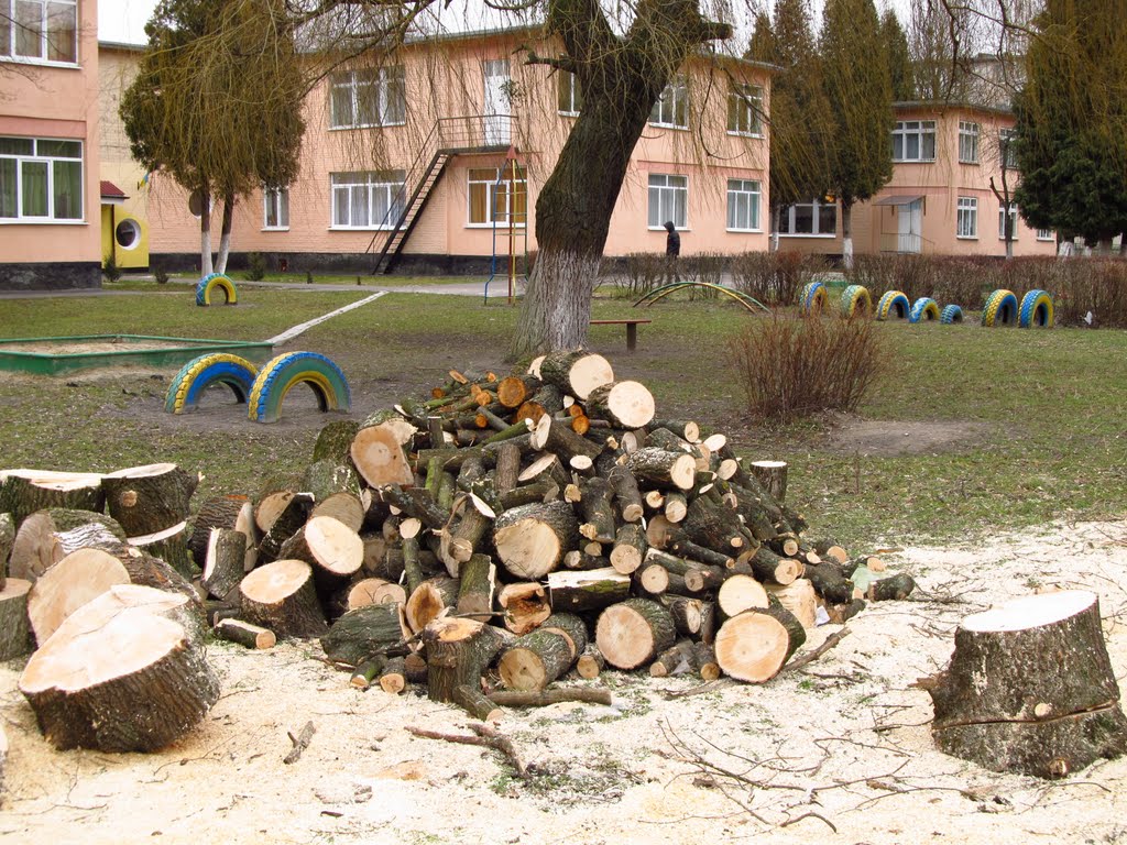 дерева на дрова ..