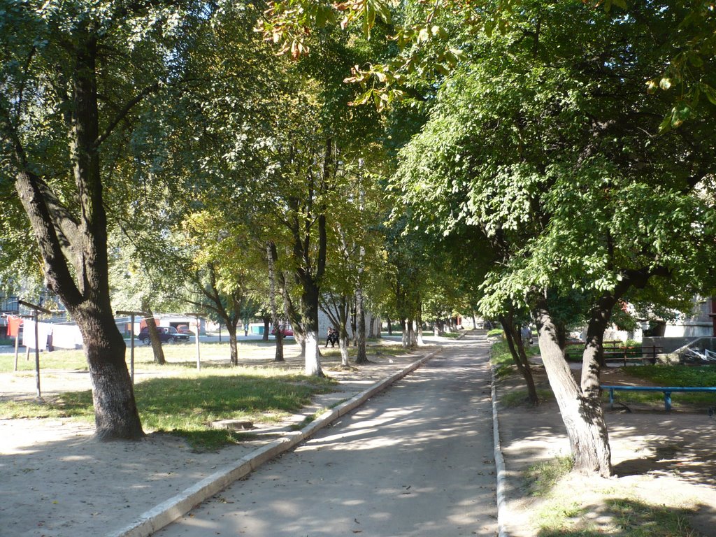 Building Driveway