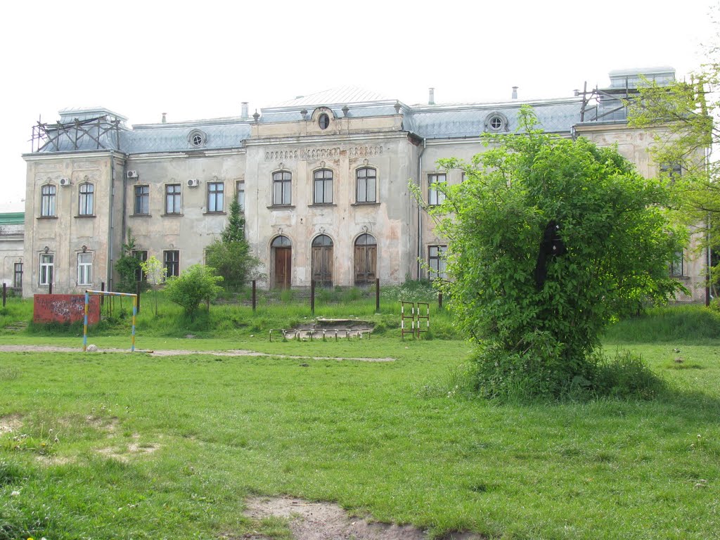 Вид на палац з боку стадіону