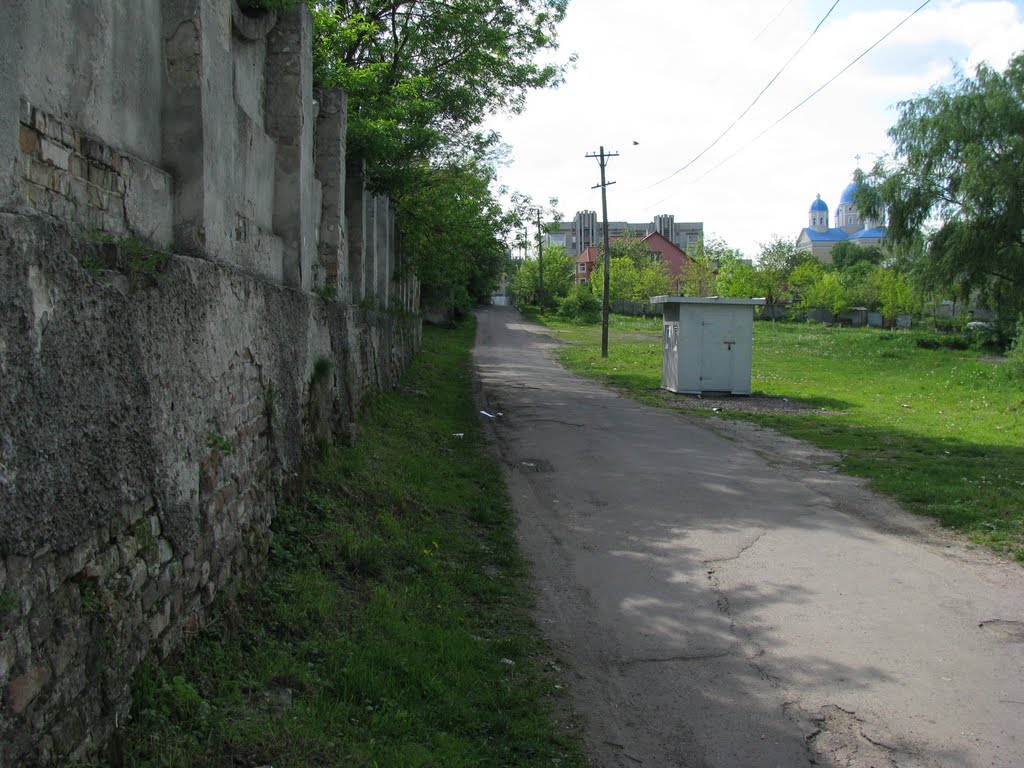 Вуличка біля палацу