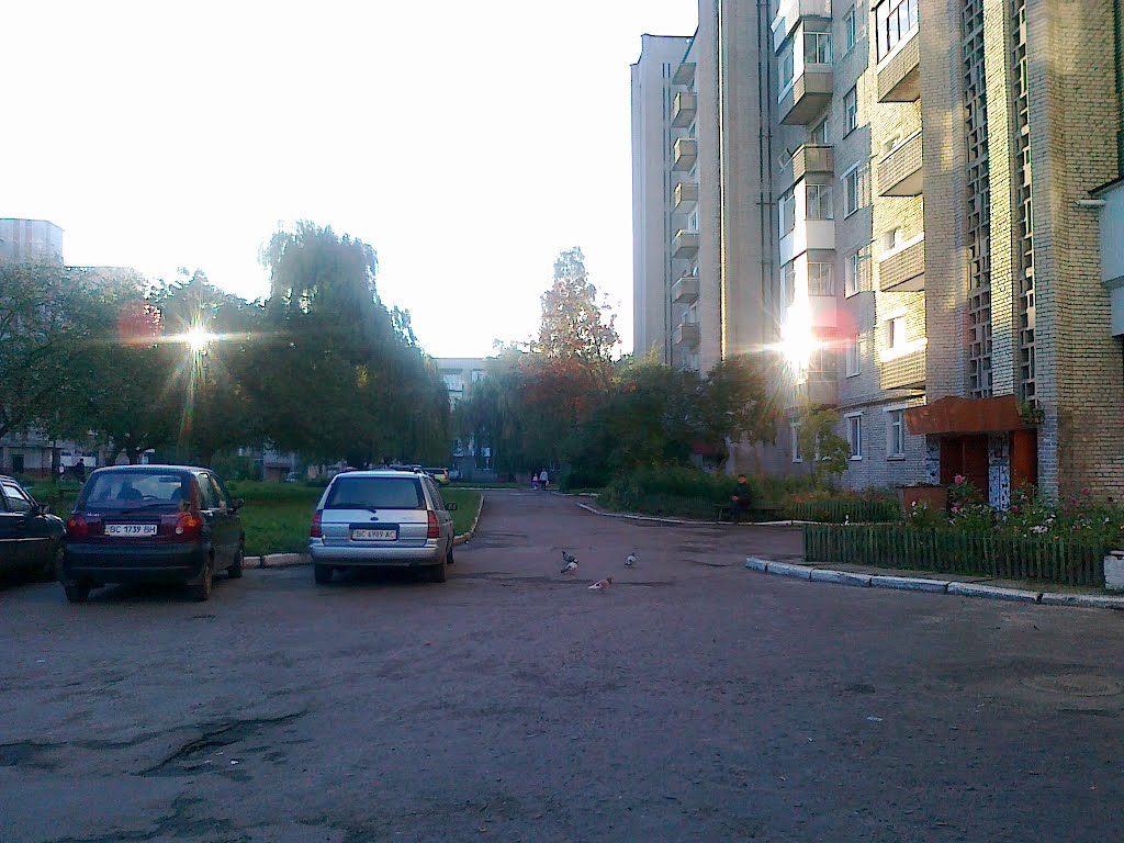 Двір по Сокальська, 28