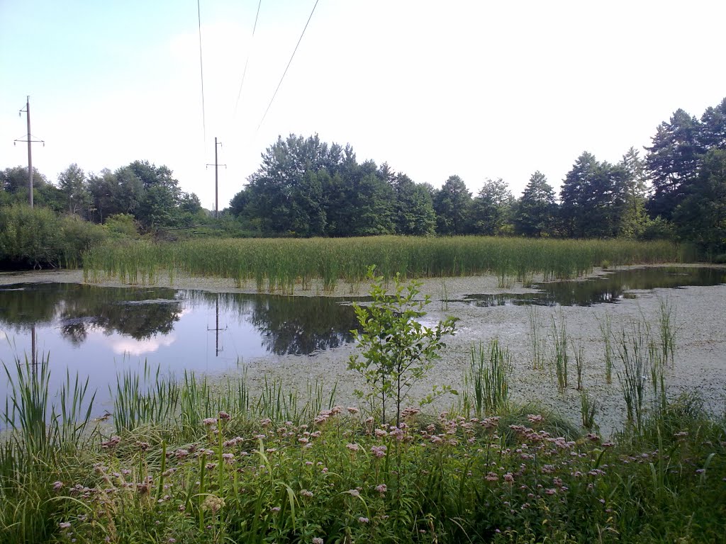 A Lake