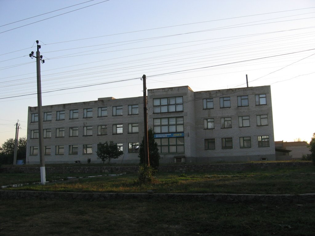 Лицей