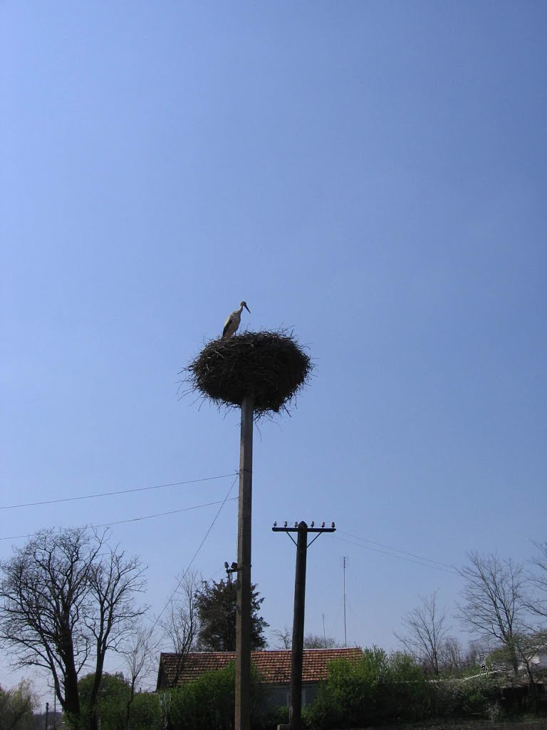 апрель 2006 г.