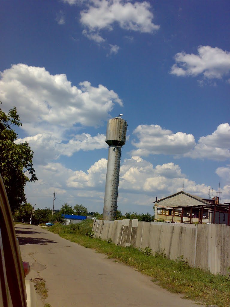 Лелеки