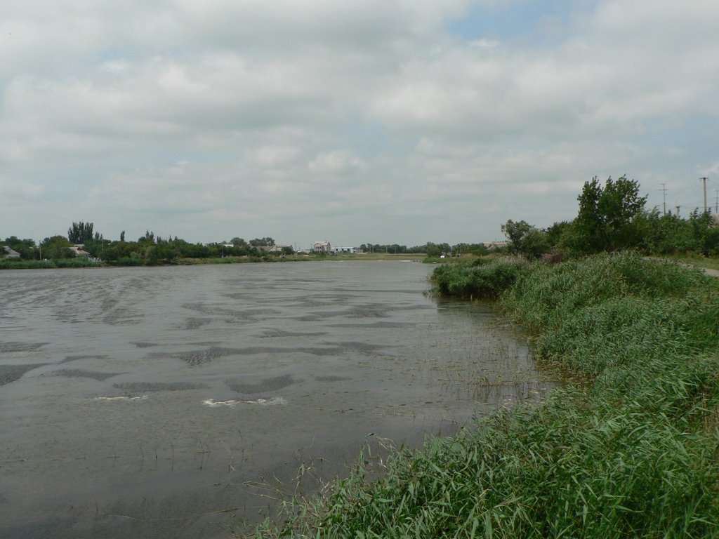 Ставок
