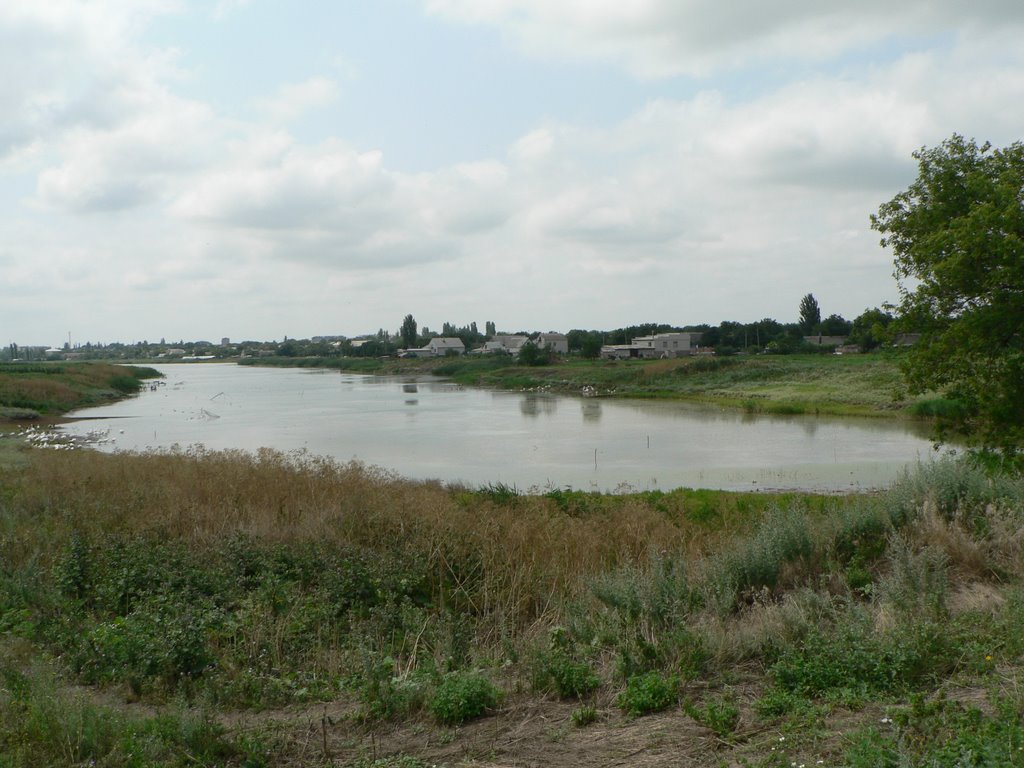 Ставок