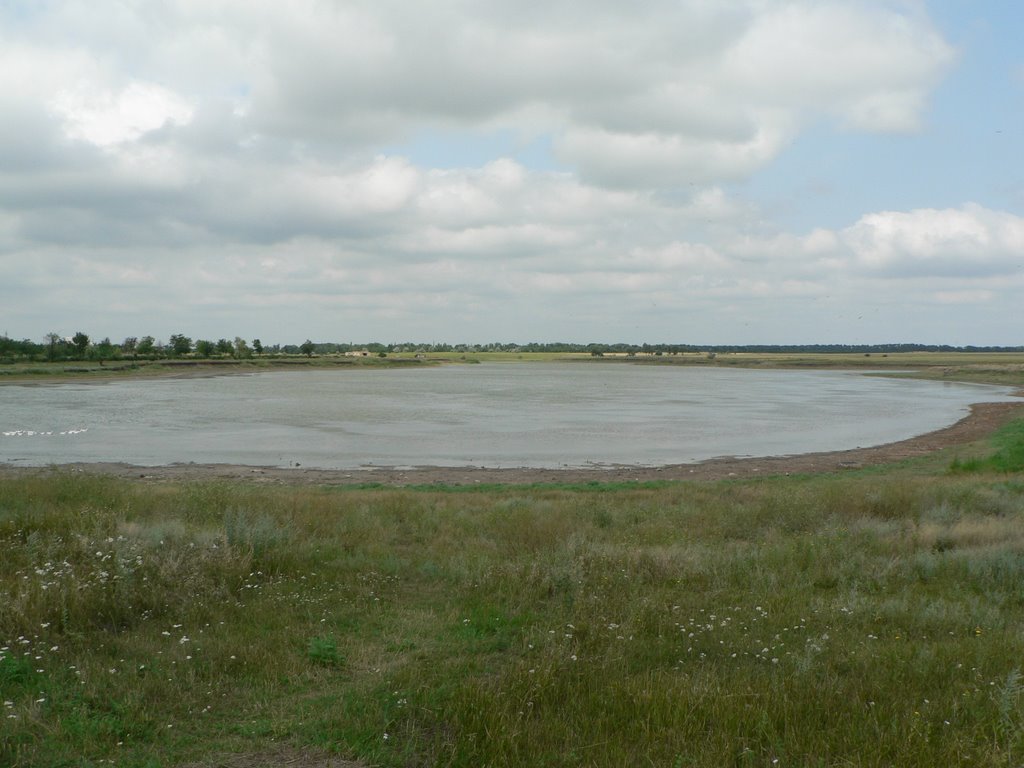 Novopoltavka