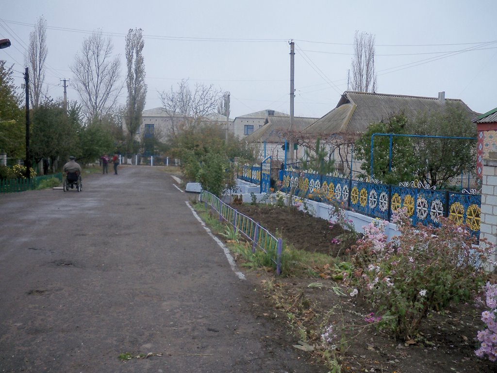 Ул.Берегового