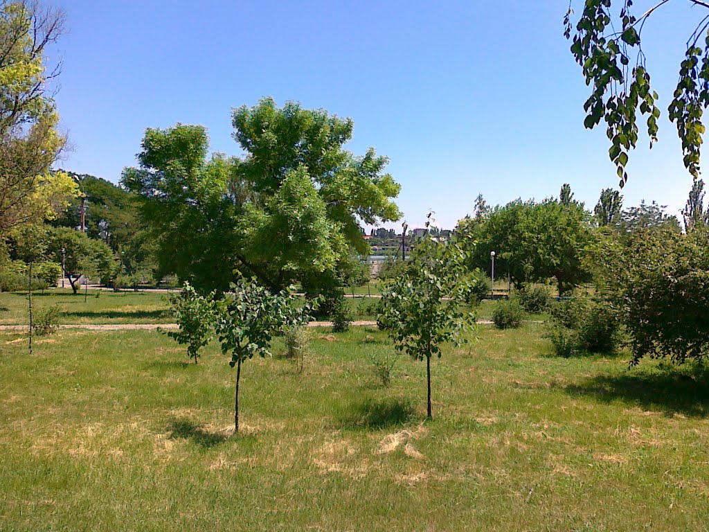 Парк в Баштанке, лето 2010