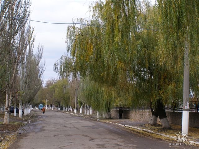 Стадіон