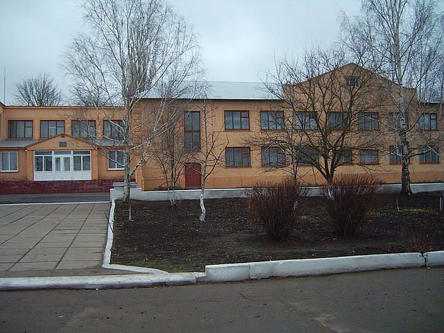 Березнеговатская средняя школа