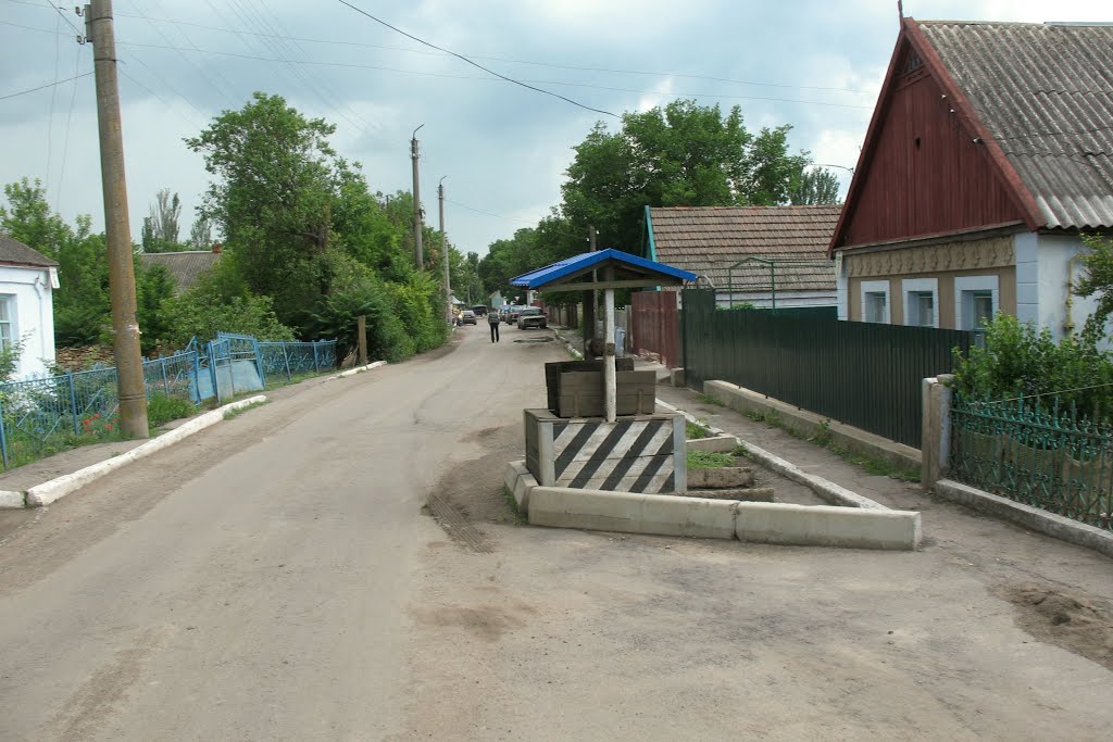 Ну таке диво посеред дороги
