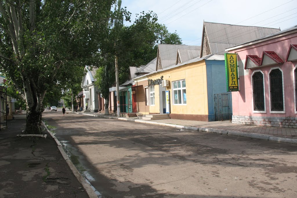 Пішохідна вулиця