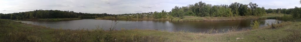 Місце впадання річки Костувата в річку Мертвовід,  біля селища Братське Миколаївської області