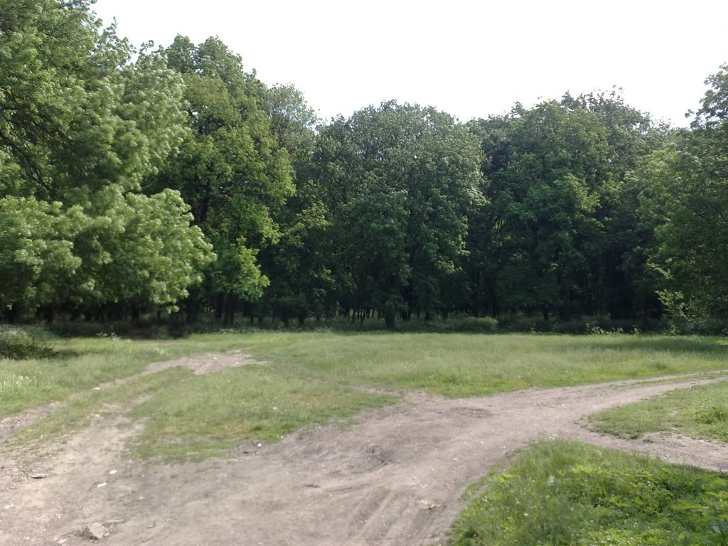 Біля парку