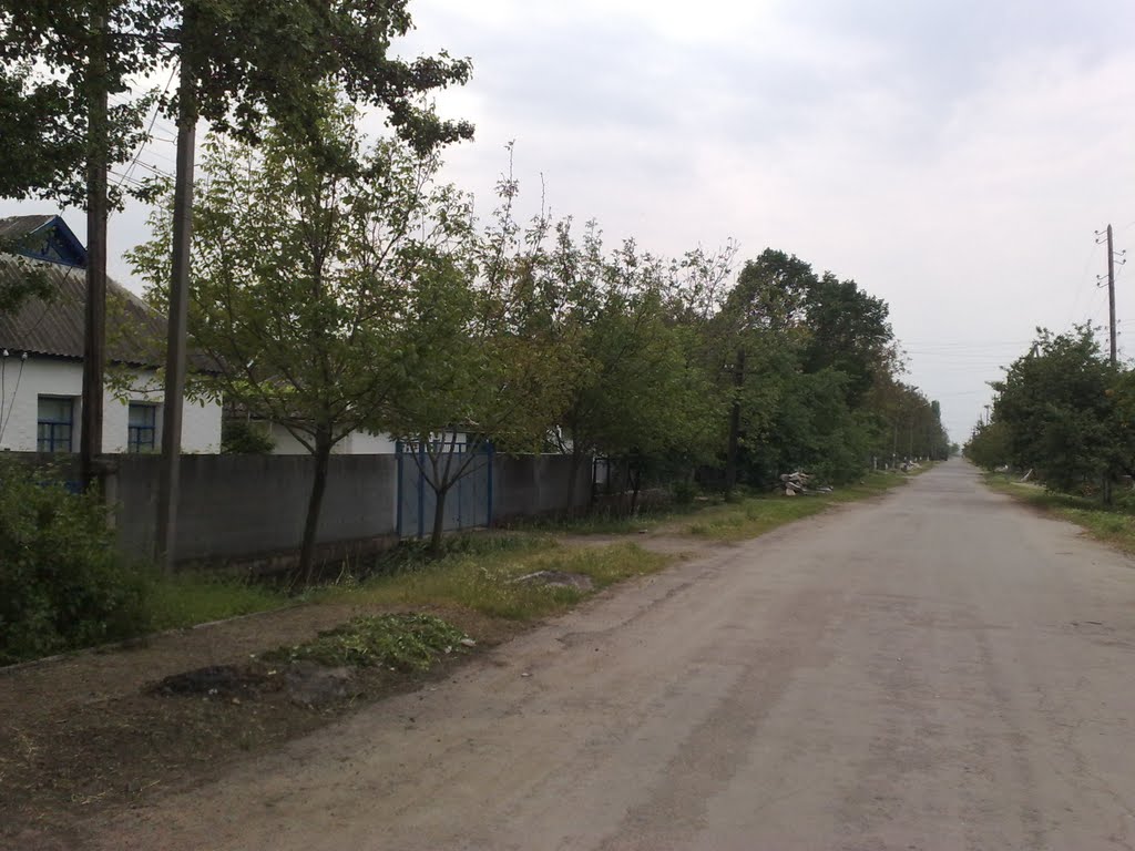 Вул. Чернишевського