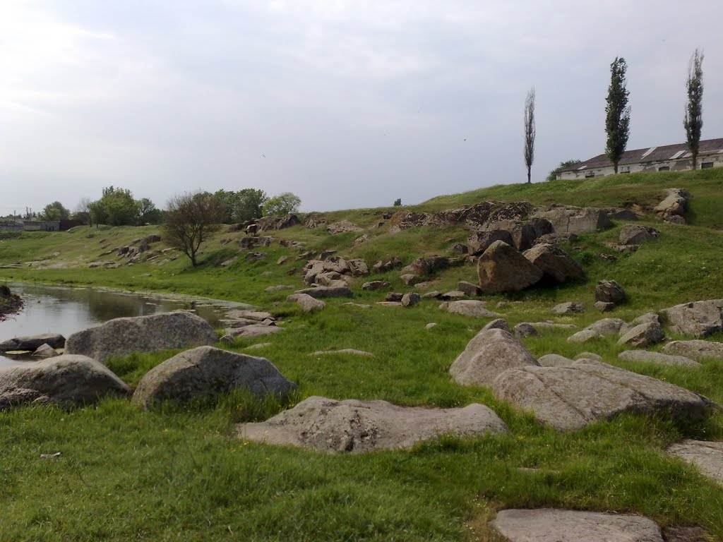 Скелі
