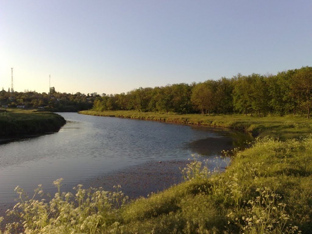 Мертвовод біля парку