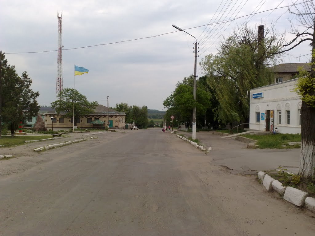 Вул. Вороніна