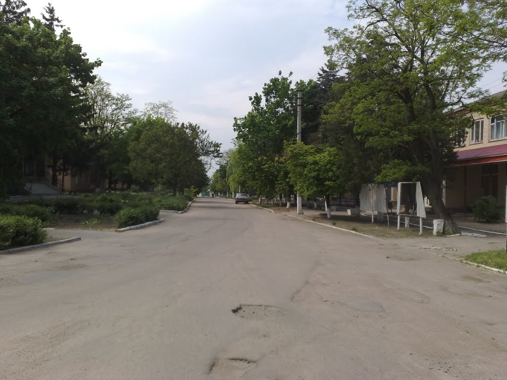 Центральна вулиця