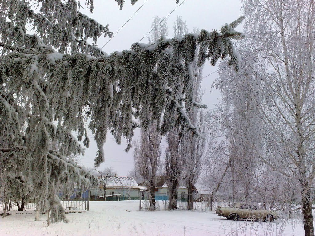 Зима