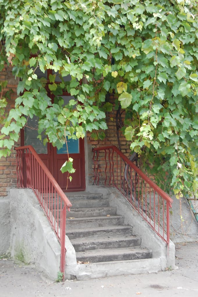 в школьном дворе