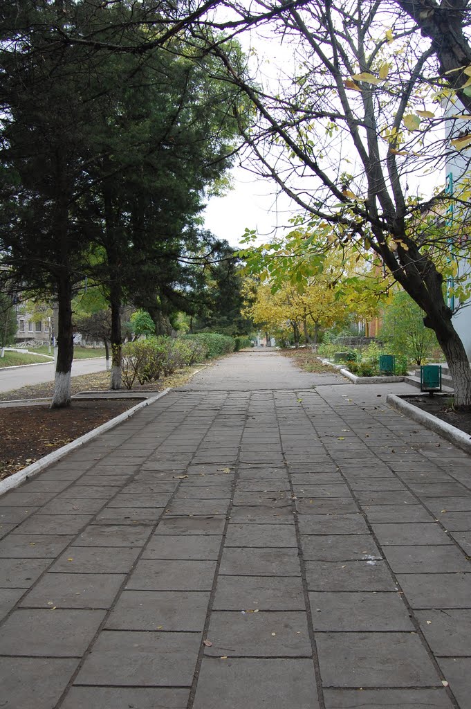 прогулка по центру