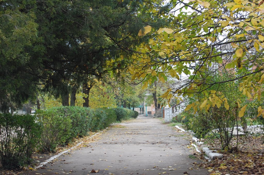 прогулка по центру