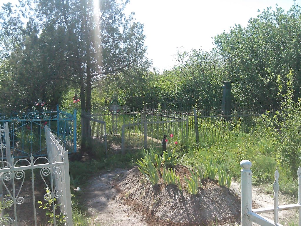 кладбище в Братском