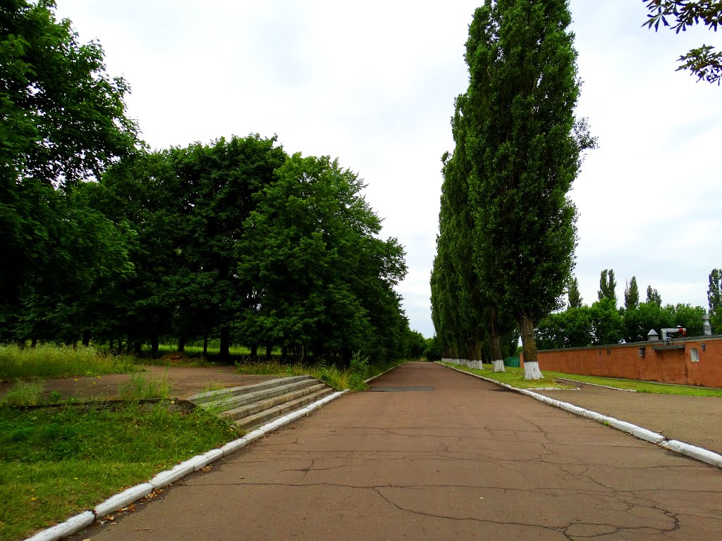 Парк Культури, Спорткомплекс