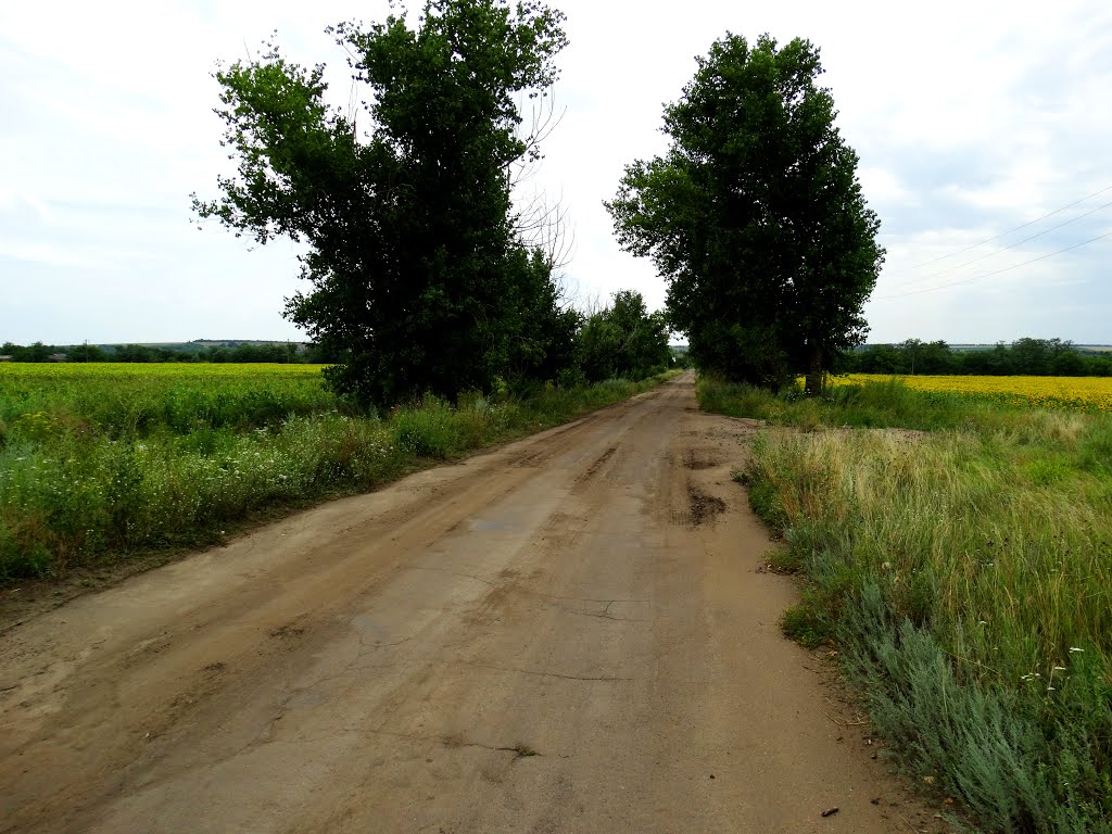 Вітольдів Брід