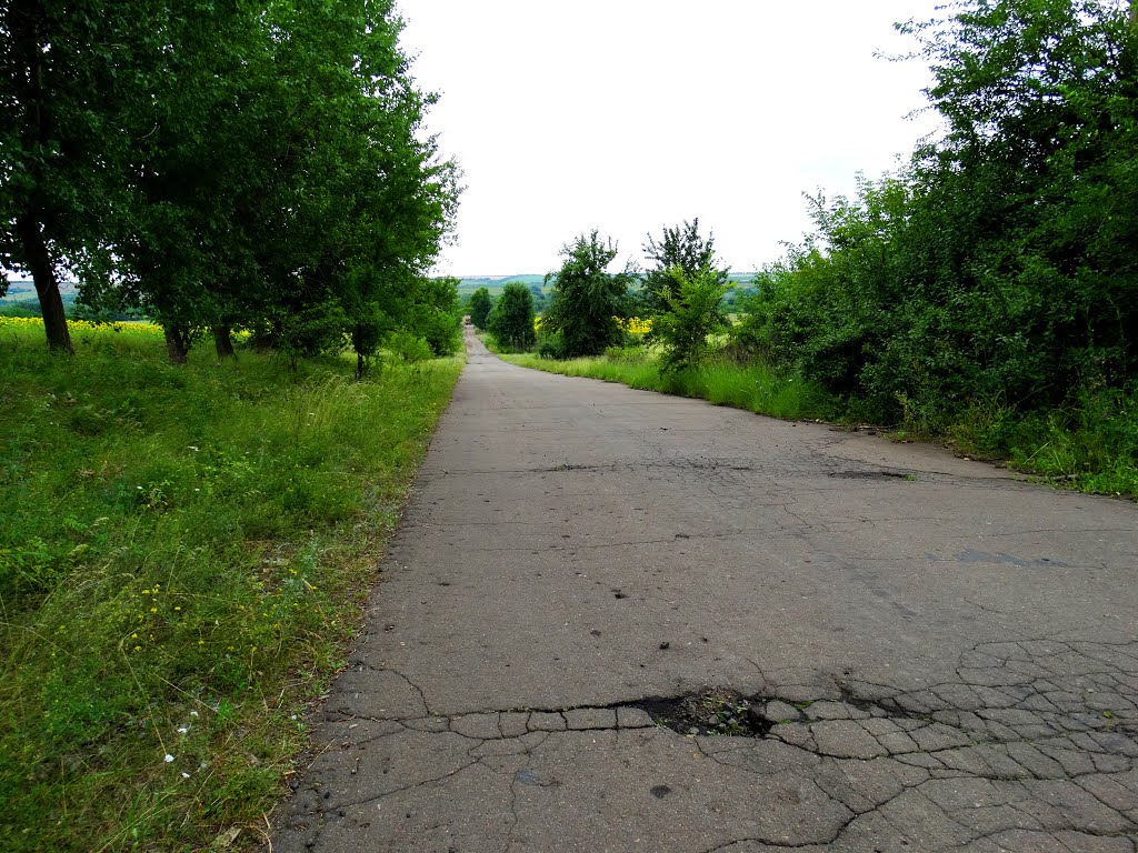 Вїзд у Вітольдів Брід
