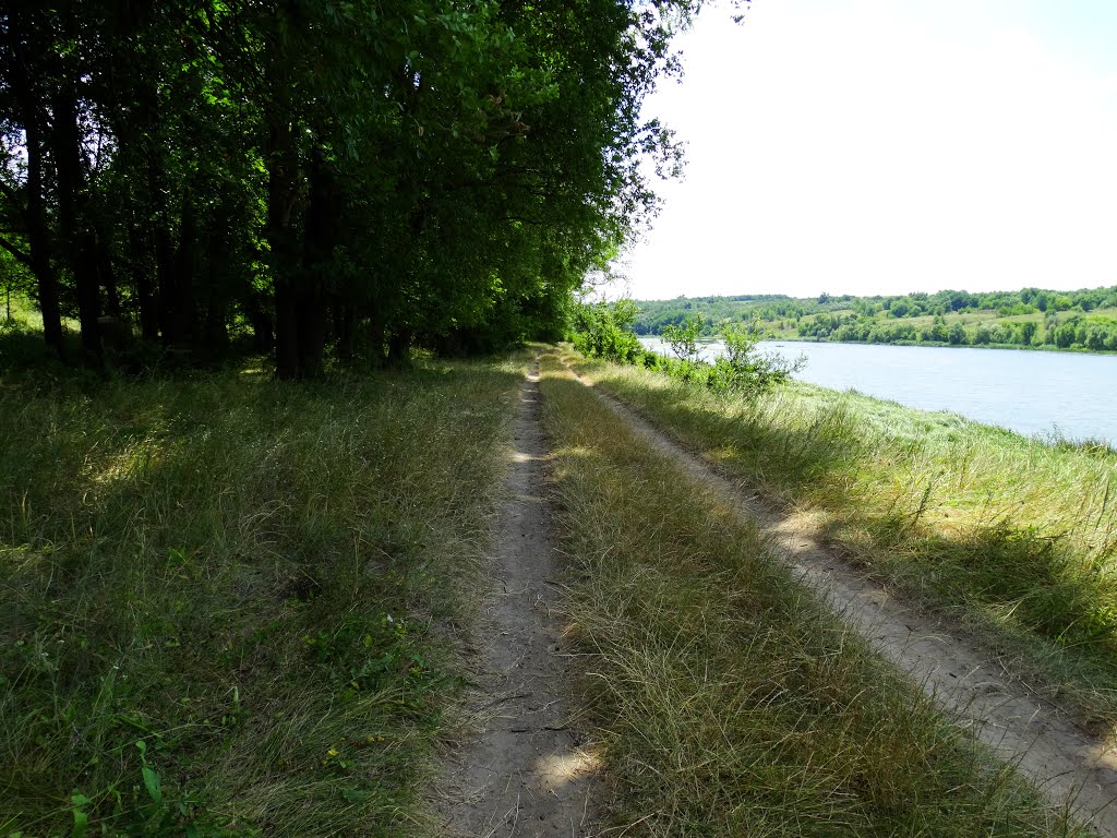 дорога понад рікою