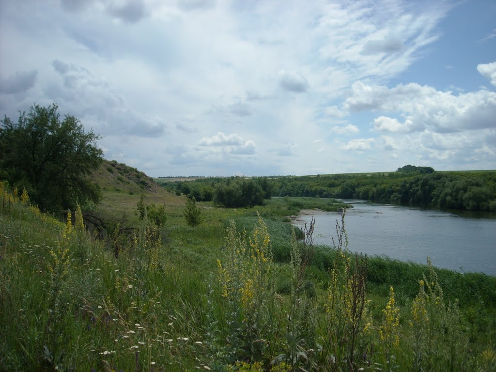Село Зелена Левада