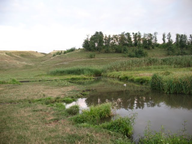 Lukanivka