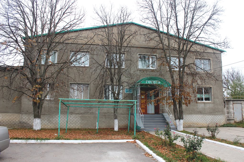 Hotel "Golden Pheasant". Гостиница "Золотой фазан" в Веселиново.