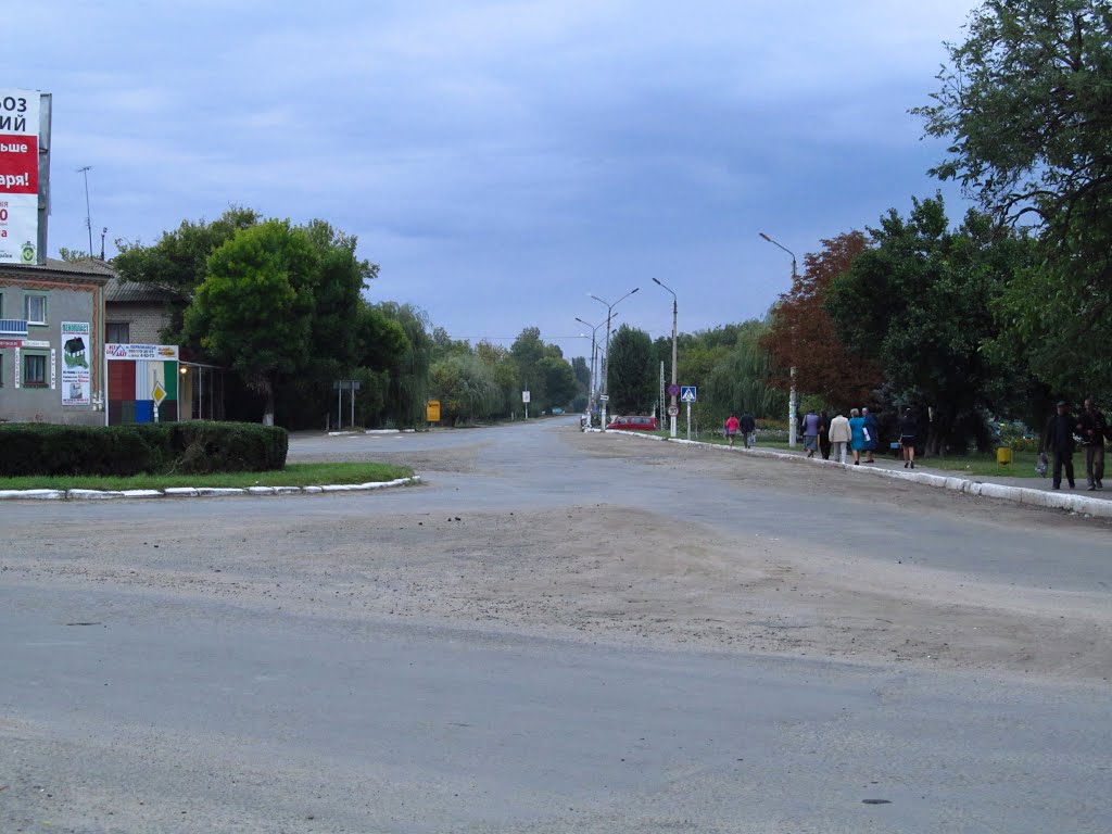 возле кольца, ул Киевская