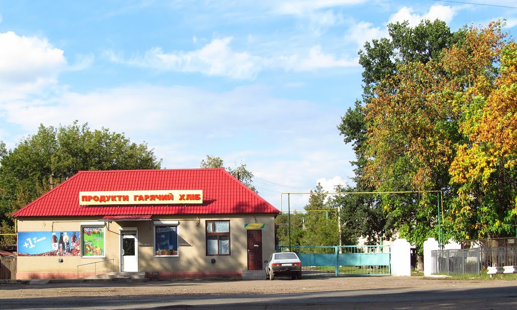 ул. Киевская, возле  Веселиновской "МТС"