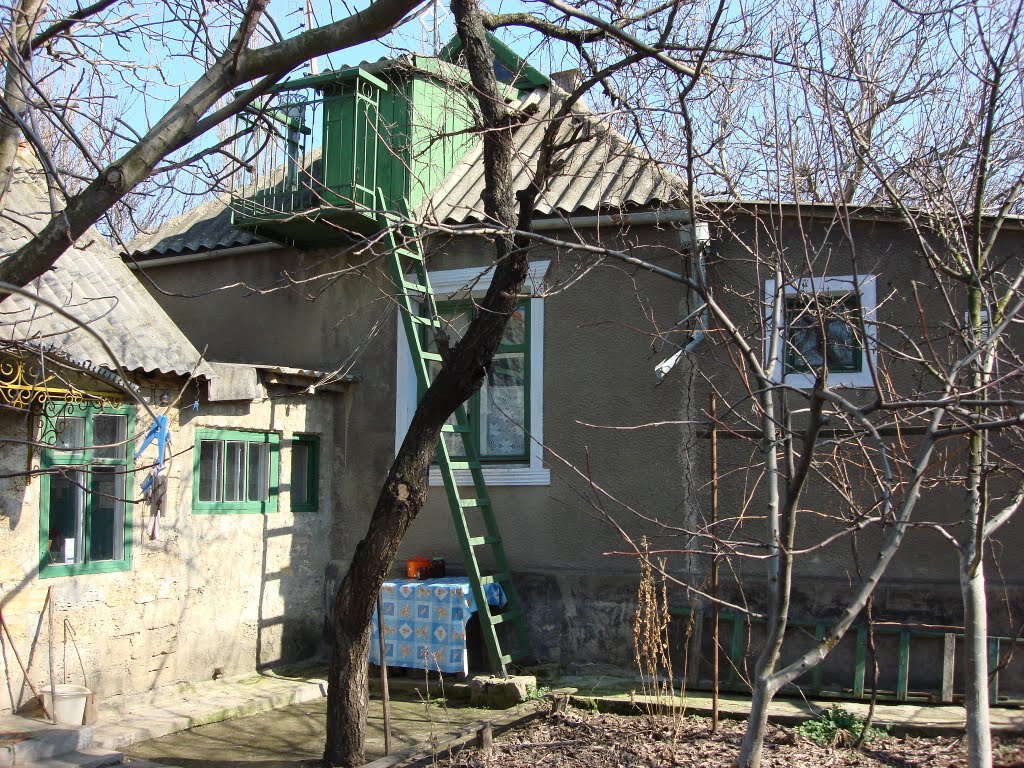Дом в Веселиново