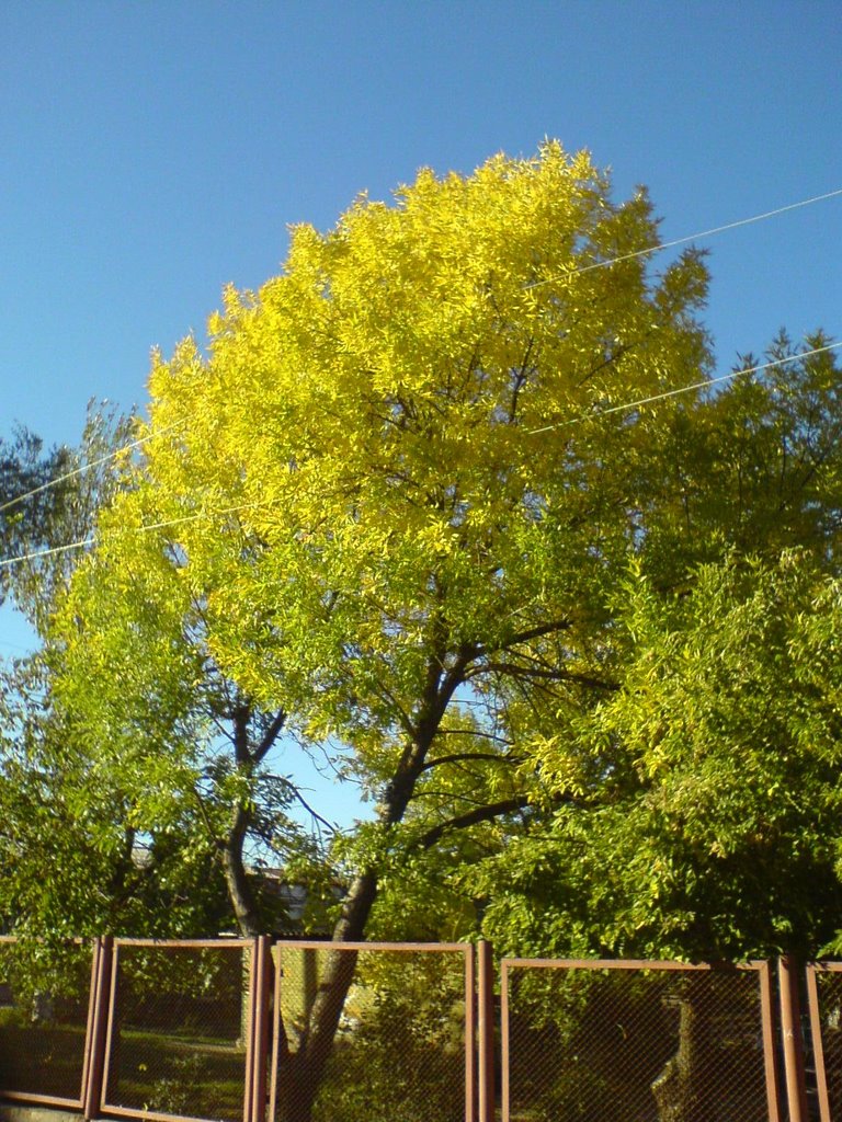 Осінь
