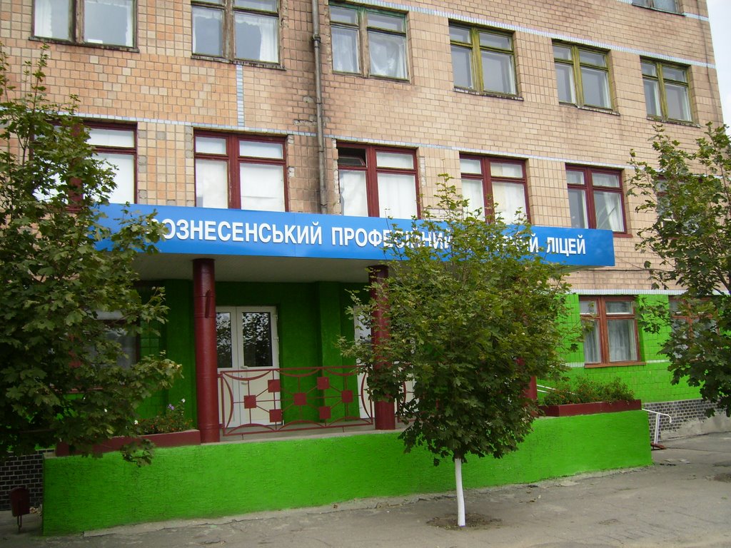 Вознесенский ПАЛ