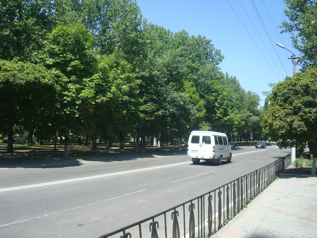 Вознесенск, центр