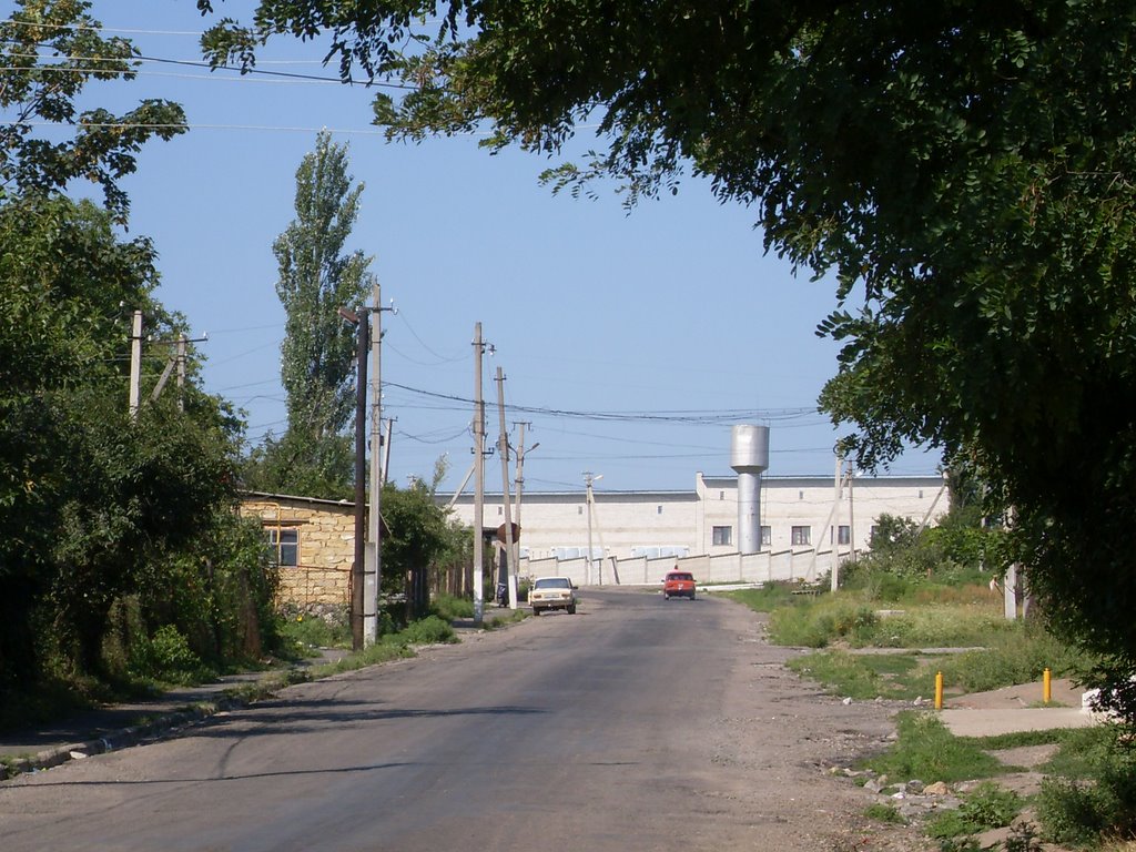 Доманёвка-дорога к РЭСу