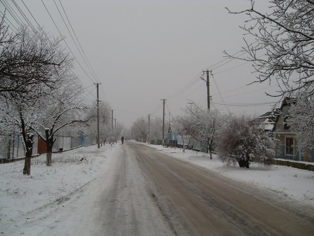 Доманёвка.