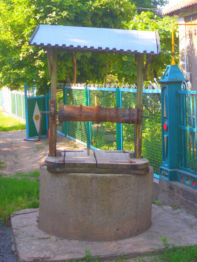 Доманевка. колодец