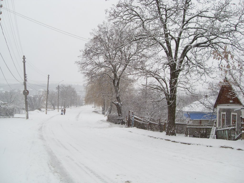 Доманевка. дорога  домой Domanevka. road home